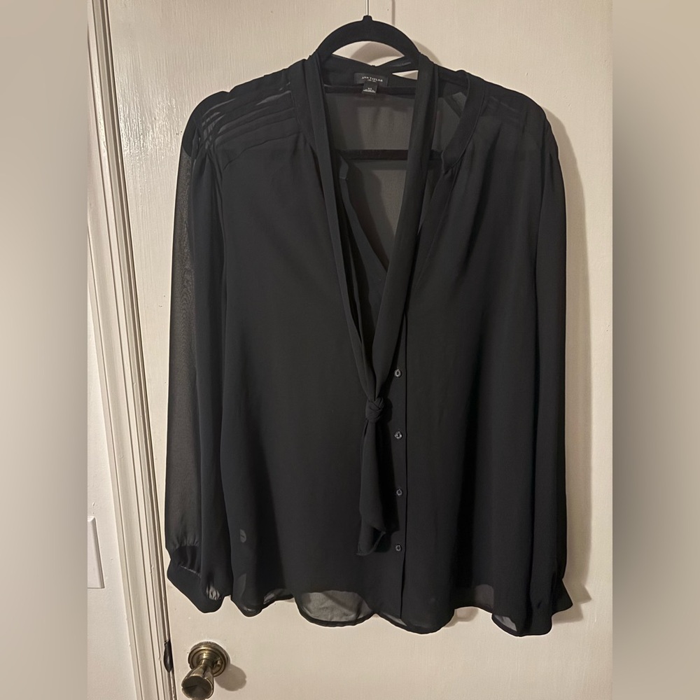 Ann Taylor Elegant Black Sheer Blouse